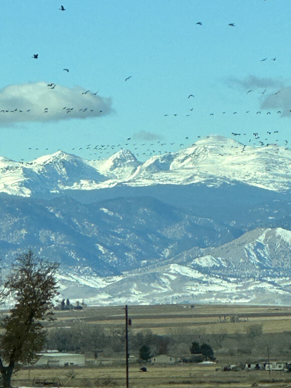 Front range on the way to Thanksgiving